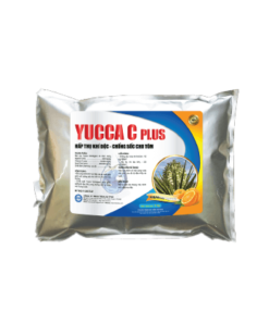 YUCCA C PLUS 2